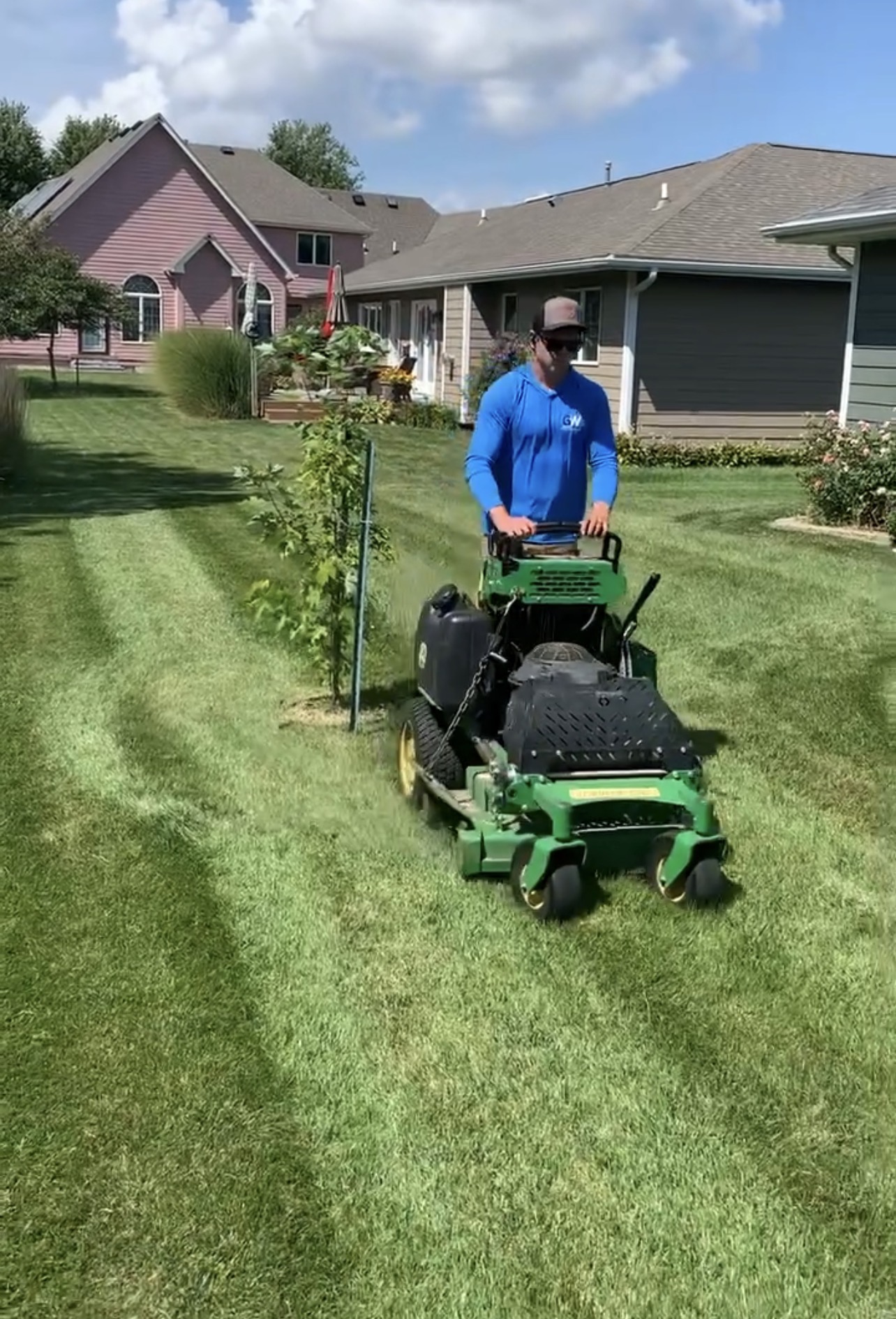 New grass growth from overseeding